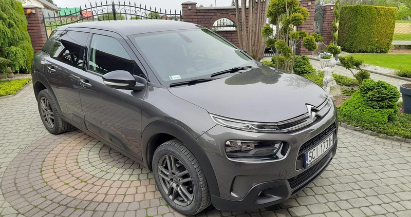 Citroen C4 Cactus cena 48900 przebieg: 79350, rok produkcji 2018 z Bogatynia małe 379